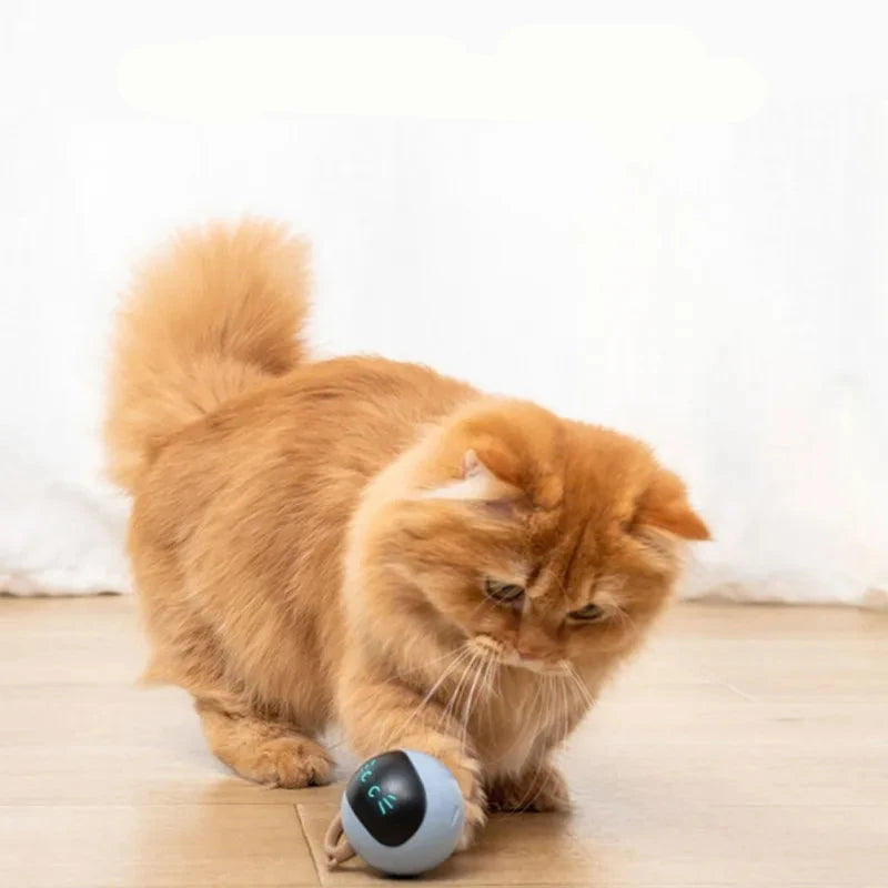 TailYard Smart Interactive LED Cat Toy - TailYard