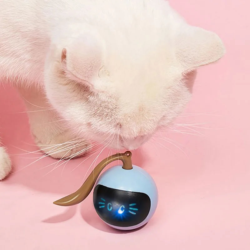 TailYard Smart Interactive LED Cat Toy - TailYard