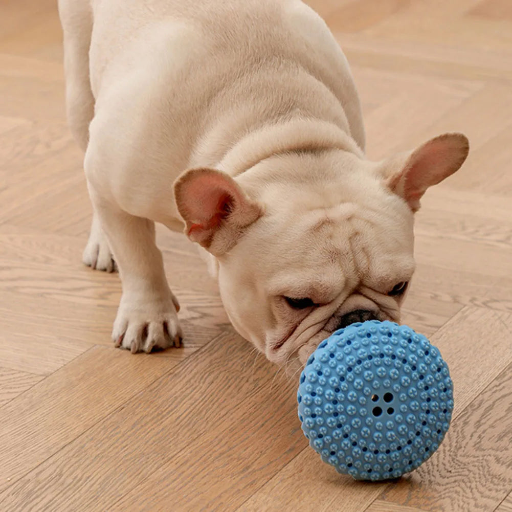 TailYard Tooth-Cleaning Rubber Dog Toy - TailYard