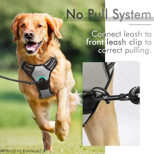 rabbitgoo Dog Harness, No-Pull Pet Harness with 2 Leash Clips, Adjustable Soft Padded Dog Vest, Reflective No-Choke Pet