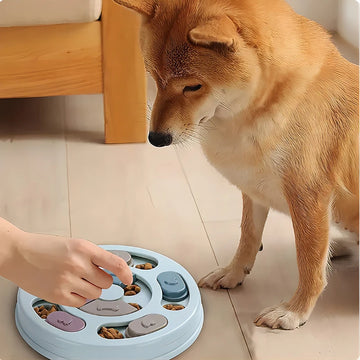 Pet Feeder Dog Educational Toys Increase Puppy Intellectual Food Dispenser Interactive Educational Feeding Toys